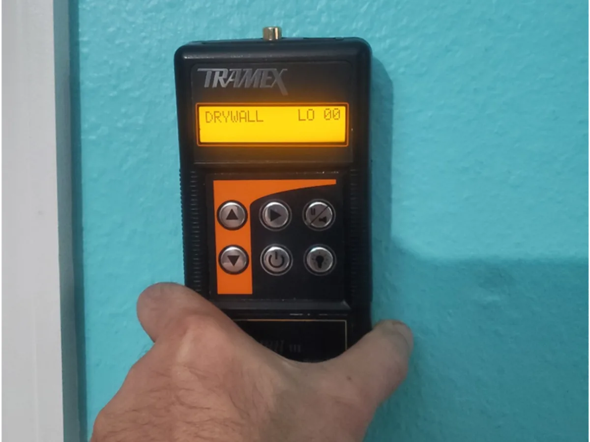 Professional moisture meter