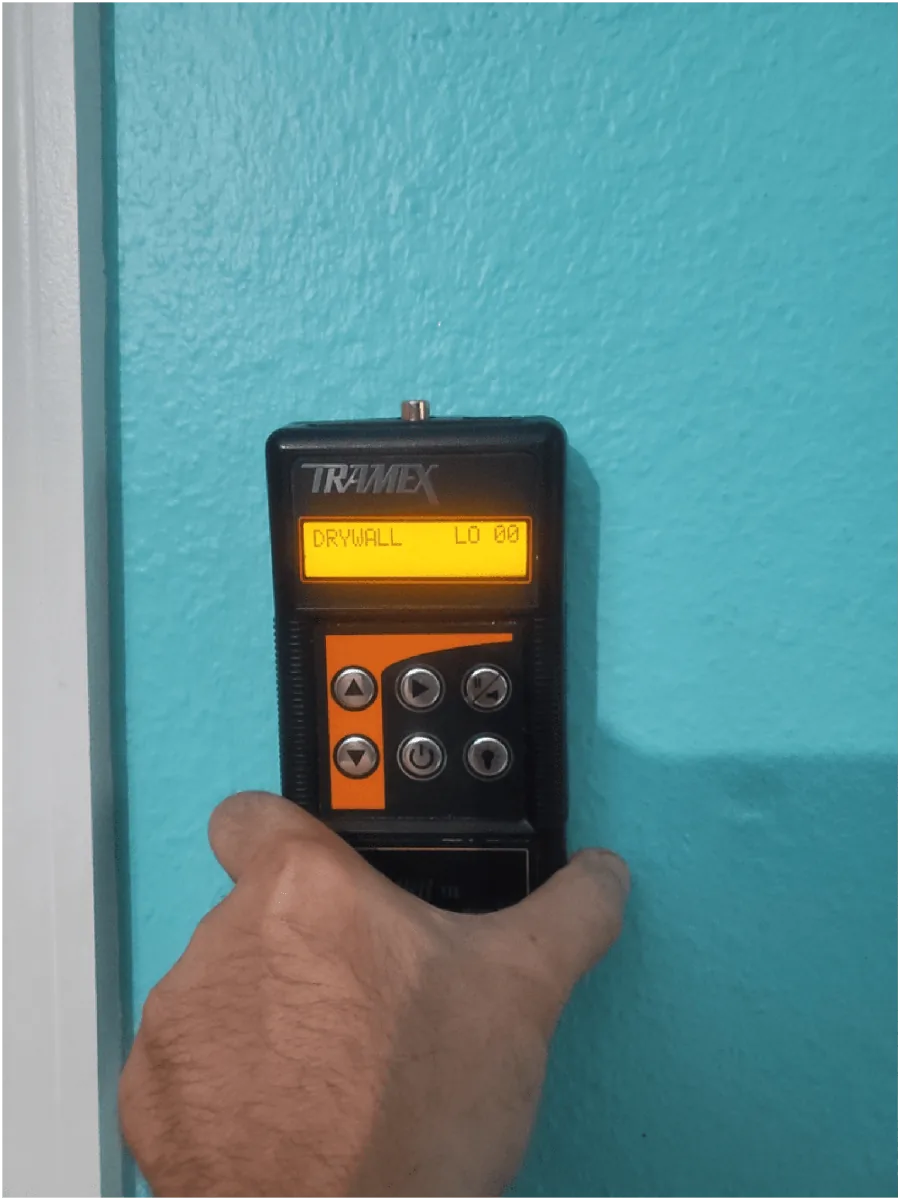 Professional moisture meter